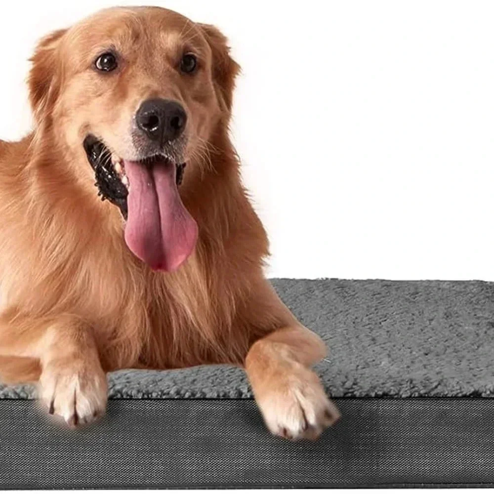 XL Orthopedic Dog Bed for Large Dogs - Ultimate Comfort and Support 44x32